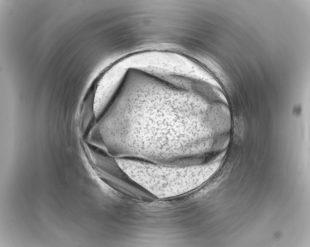 X0000093571046200711121032
