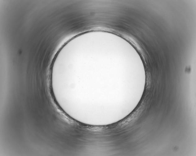 X0000093571048200711121032