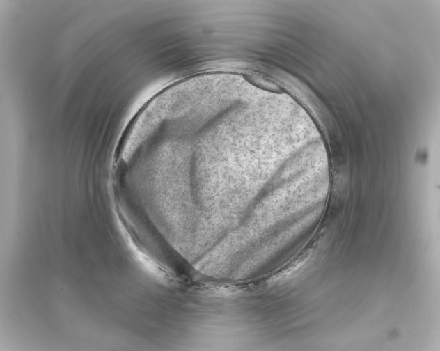 X0000093571050200711121032