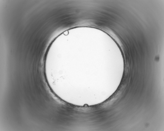X0000093571053200711121032