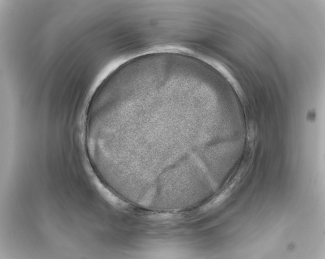 X0000093571054200711121032