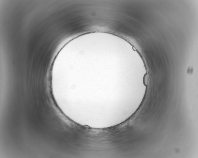 X0000093571056200711121032