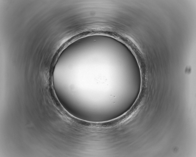 X0000093571065200711121032