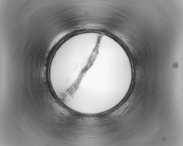 X0000093571066200711121032