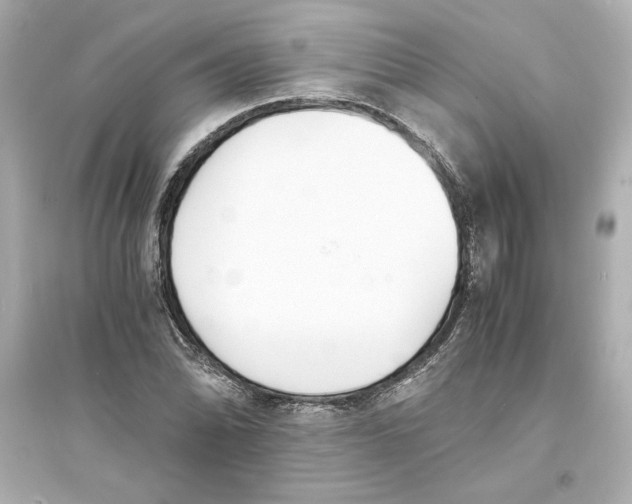 X0000093571070200711121031
