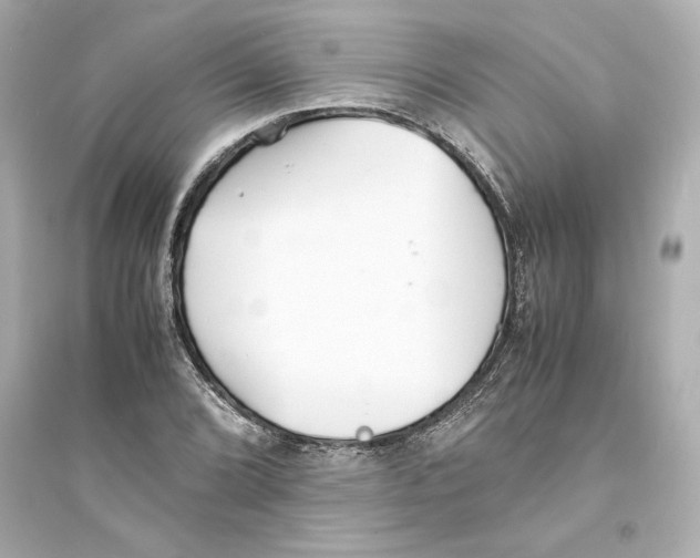 X0000093571072200711121031