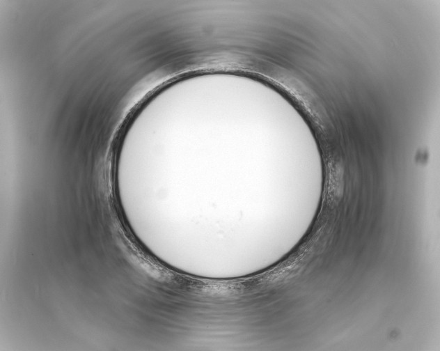 X0000093571078200711121031