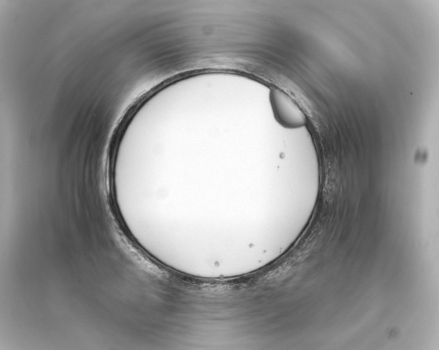 X0000093571080200711121031