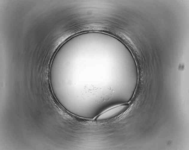 X0000093571081200711121031