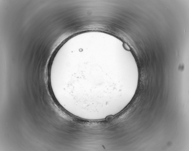 X0000093571082200711121031