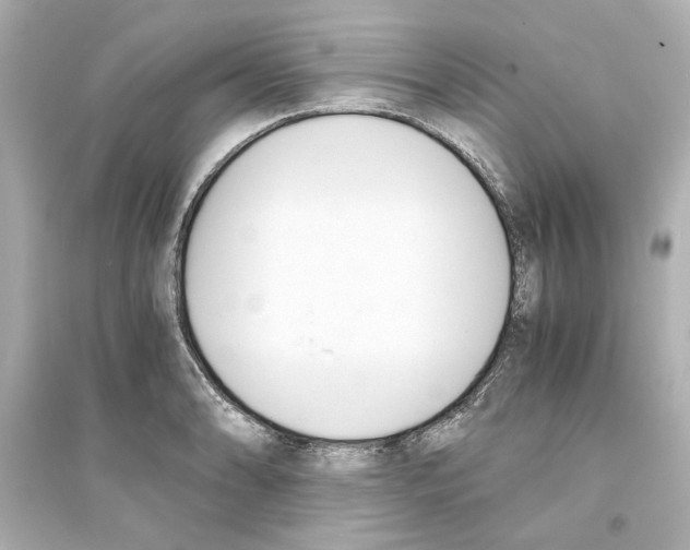 X0000093571086200711121031