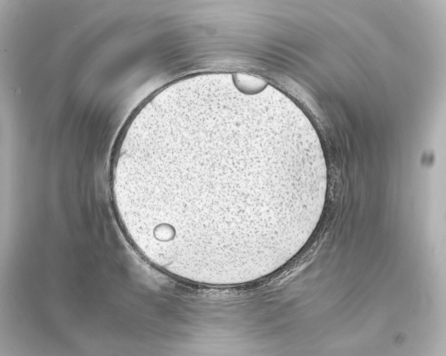 X0000093571087200711121031