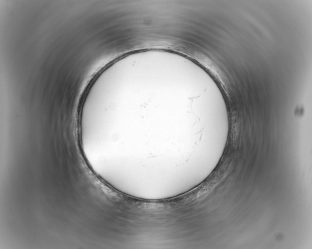 X0000093571088200711121031