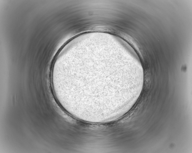 X0000093571091200711121031