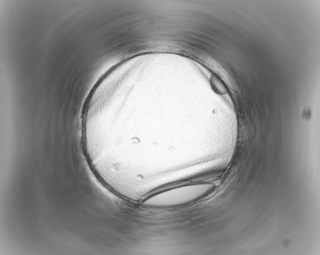 X0000093571095200711121031