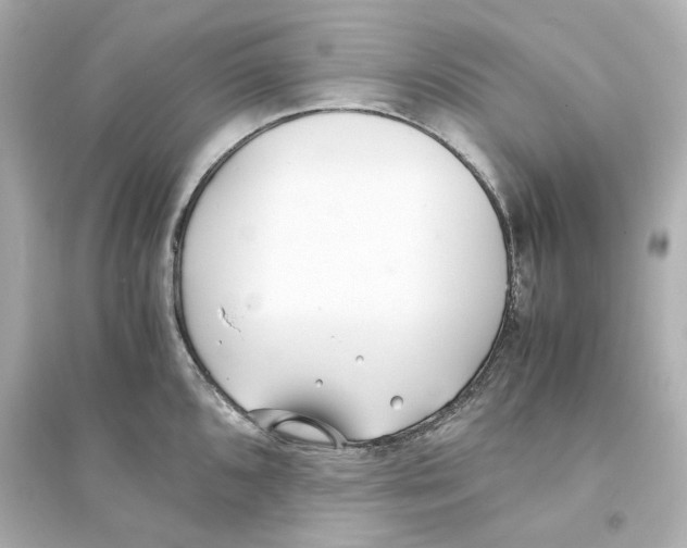 X0000093571096200711121031