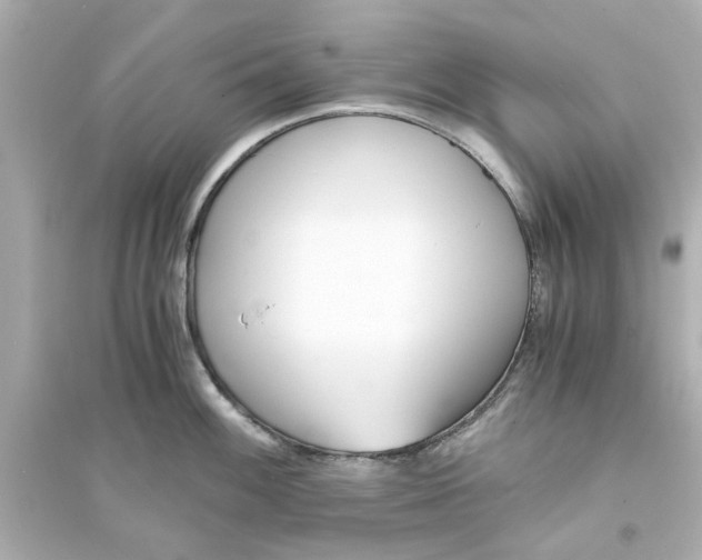 X0000093571100200711121031