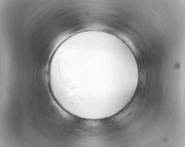 X0000093571103200711121031