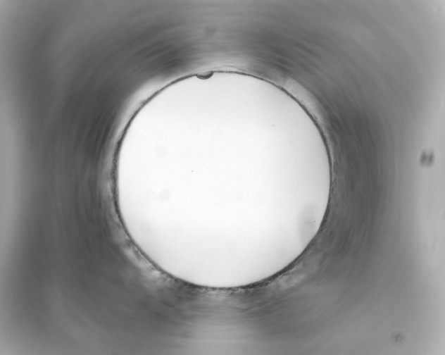X0000093571104200711121031
