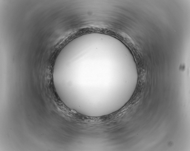 X0000093571110200711121030