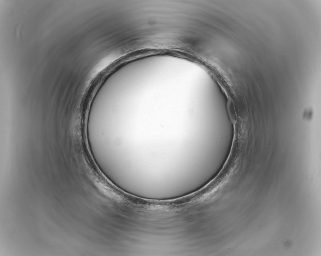 X0000093571114200711121030