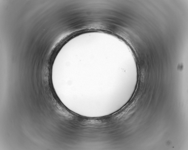 X0000093571115200711121030