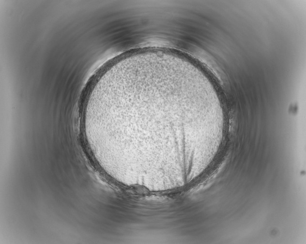 X0000093571117200711121030