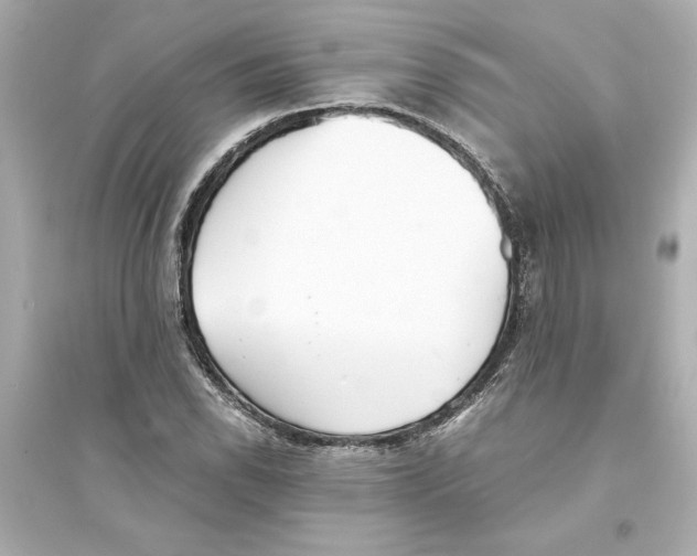 X0000093571118200711121030