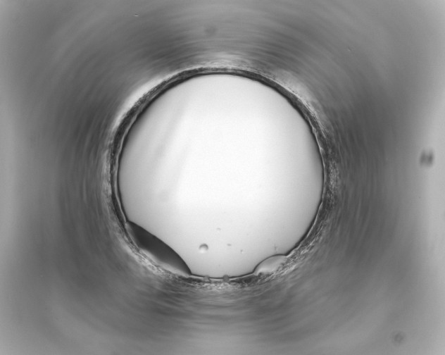 X0000093571120200711121030