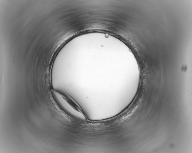 X0000093571121200711121030