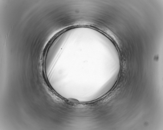 X0000093571124200711121030