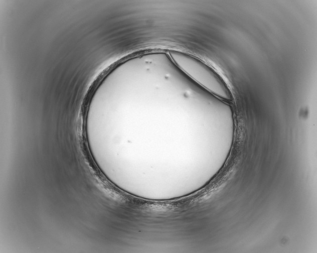X0000093571125200711121030