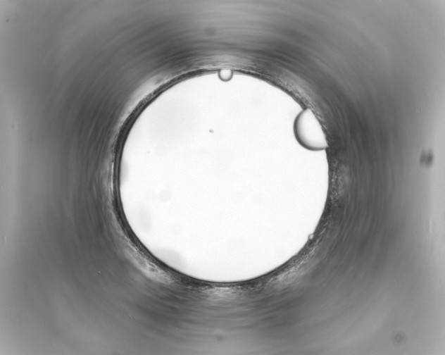 X0000093571130200711121031