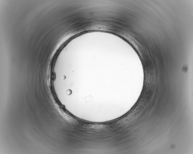 X0000093571131200711121031