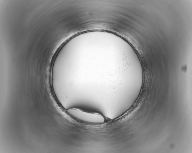 X0000093571134200711121031