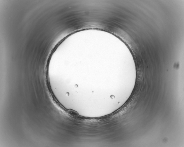 X0000093571135200711121031