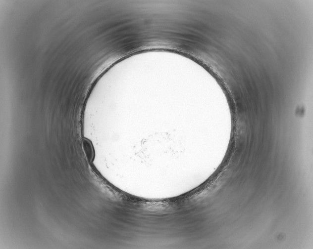 X0000093571137200711121031