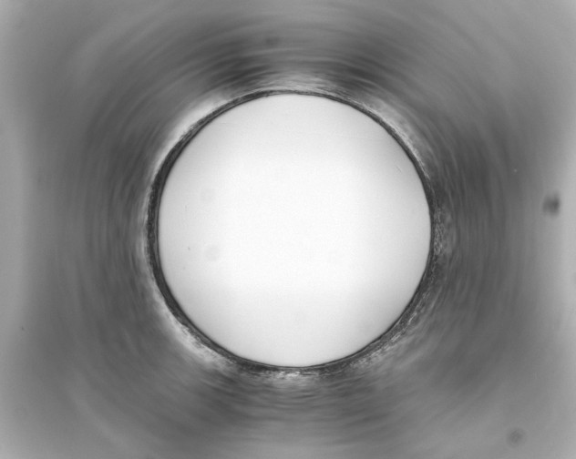 X0000093571139200711121031