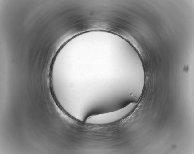 X0000093571143200711121031
