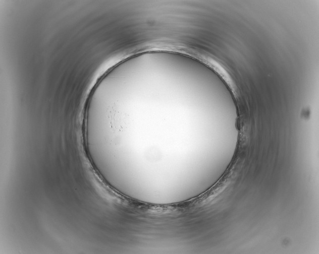 X0000093571146200711121031