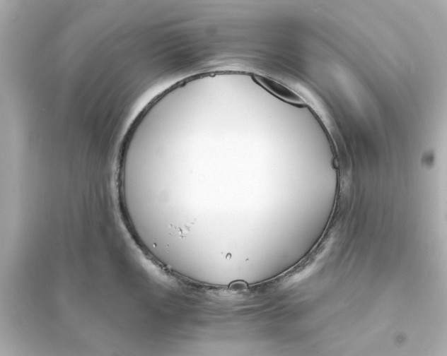 X0000093571149200711121031