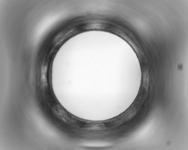 X0000093571150200711121031