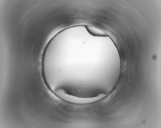 X0000093571151200711121031