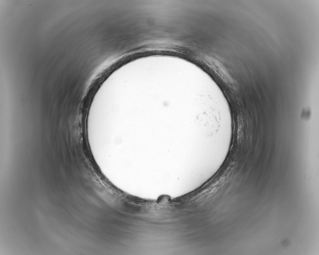 X0000093571164200711121030