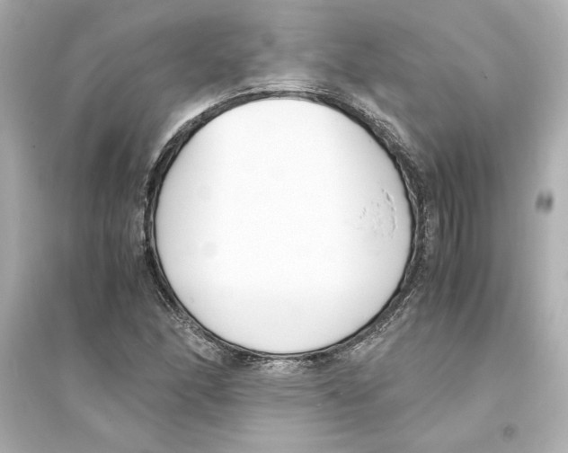 X0000093571166200711121030