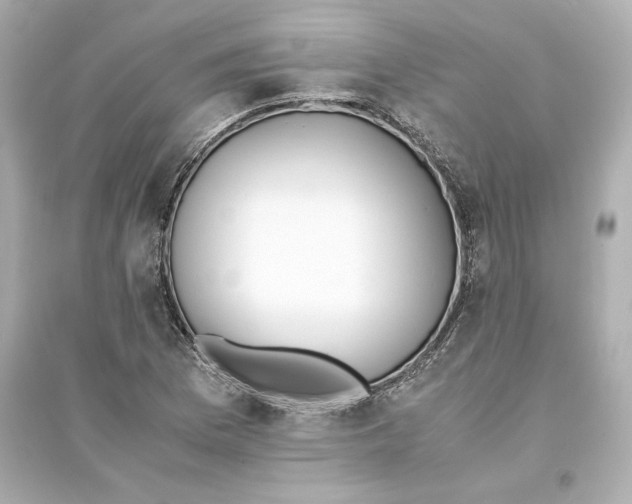 X0000093571169200711121030