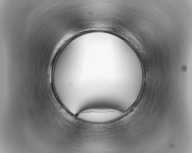 X0000093571180200711121030