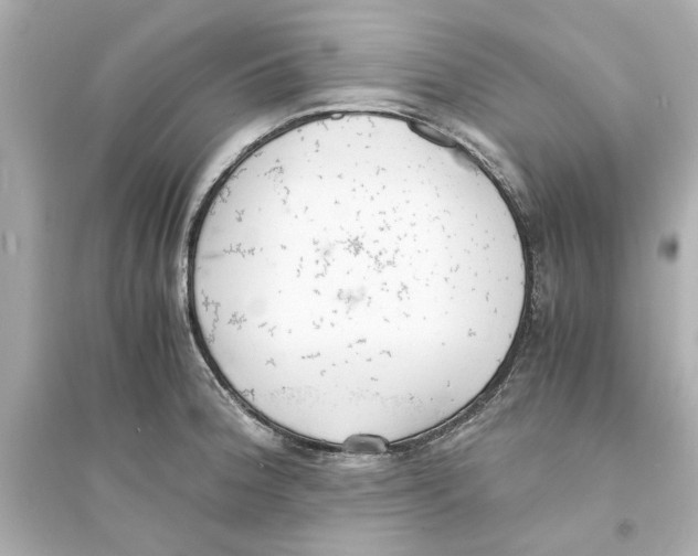 X0000093571188200711121029