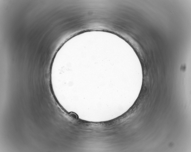 X0000093571191200711121029