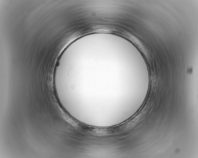 X0000093571194200711121029